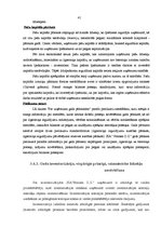 Prakses atskaite 'Profesionālās prakses pārskats', 41.