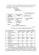 Prakses atskaite 'Profesionālās prakses pārskats', 57.