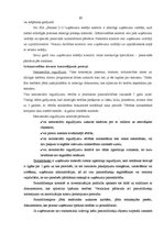 Prakses atskaite 'Profesionālās prakses pārskats', 65.