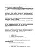 Prakses atskaite 'Profesionālās prakses pārskats', 66.