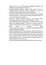 Prakses atskaite 'Profesionālās prakses pārskats', 70.