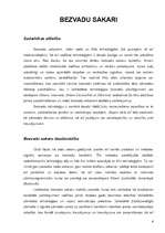 Referāts 'Bezvadu sakari', 4.