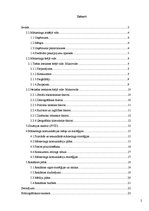 Referāts 'Reklāmas plāns. SVID analīze', 2.