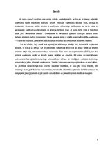 Referāts 'Reklāmas plāns. SVID analīze', 3.