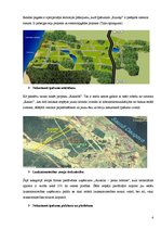 Referāts 'Reklāmas plāns. SVID analīze', 6.