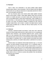 Referāts 'Reklāmas plāns. SVID analīze', 8.