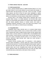 Referāts 'Reklāmas plāns. SVID analīze', 10.