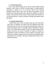 Referāts 'Reklāmas plāns. SVID analīze', 12.