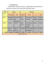 Referāts 'Reklāmas plāns. SVID analīze', 21.