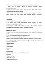 Prakses atskaite 'Pedagoģijas un psiholoģijas novērošanas prakses atskaite', 17.