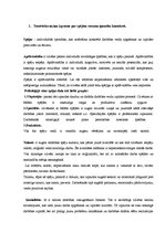 Prakses atskaite 'Pedagoģijas un psiholoģijas novērošanas prakses atskaite', 28.