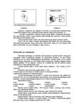 Referāts 'Gvineja', 3.