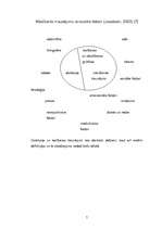 Referāts 'Logopēdiskais darbs rakstu runas traucējumu labošanā vispārizglītojošo skolu 2.k', 7.