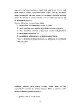 Referāts 'Logopēdiskais darbs rakstu runas traucējumu labošanā vispārizglītojošo skolu 2.k', 11.