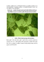 Paraugs 'Tēraudu mikrostrūkturas analīze', 3.