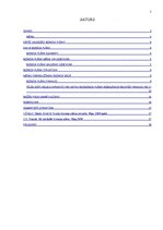 Referāts 'Biznesa plāns', 2.