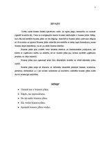 Referāts 'Biznesa plāns', 3.