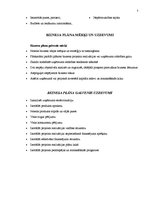 Referāts 'Biznesa plāns', 5.
