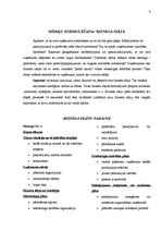 Referāts 'Biznesa plāns', 9.