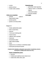 Referāts 'Biznesa plāns', 10.