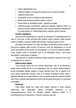 Referāts 'Biznesa plāns', 11.