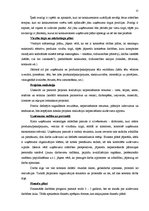 Referāts 'Biznesa plāns', 12.