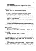 Referāts 'Biznesa plāns', 13.