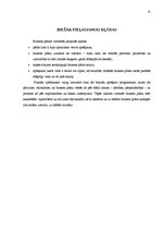 Referāts 'Biznesa plāns', 15.