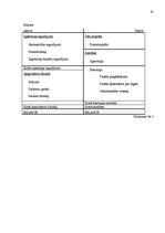 Referāts 'Biznesa plāns', 20.