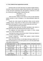 Referāts 'Ainavu veidošana', 23.