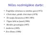 Prezentācija 'Politikas izpratne F.Nīčes darbos', 6.
