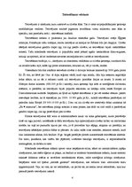 Referāts 'Tetovējumi kā ķermeņa apgleznošanas veids', 4.