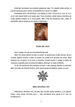 Referāts 'Tetovējumi kā ķermeņa apgleznošanas veids', 7.