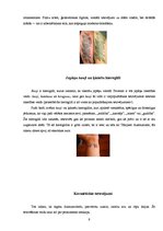 Referāts 'Tetovējumi kā ķermeņa apgleznošanas veids', 9.