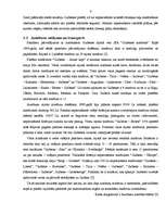 Referāts 'Gulbenes rajona satiksmes tehniskā infrastruktūra un transports', 12.