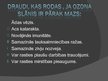 Prezentācija 'Ozons', 12.