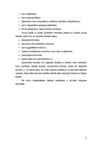 Referāts 'Preču kravas efektivitātes paaugstināšana', 11.
