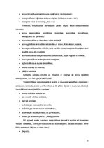 Referāts 'Preču kravas efektivitātes paaugstināšana', 13.