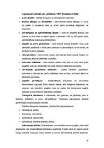 Referāts 'Preču kravas efektivitātes paaugstināšana', 23.