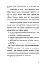 Referāts 'Preču kravas efektivitātes paaugstināšana', 28.