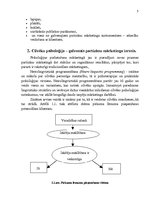 Referāts 'Partizānu mārketings', 5.