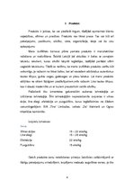 Referāts 'Mārketinga plāns', 4.