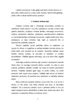 Referāts 'Mārketinga plāns', 7.