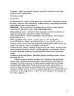 Referāts 'SIA "ABF+"', 6.