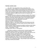 Referāts 'SIA "ABF+"', 9.