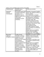 Referāts 'SIA "ABF+"', 10.