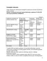 Referāts 'SIA "ABF+"', 24.