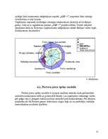Referāts 'SIA "ABF+"', 26.