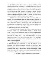 Referāts 'Jāņa Čakstes psiholoģiskais portrets', 6.