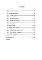 Referāts 'Reklāmas radošais darba plāns SIA "X" ražotajam Y produktam', 2.